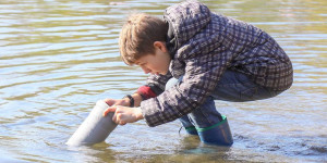 Heimische Fische unter der Lupe, Artikel von Marc Schüler,  Rüsselsheimer Echo vom 12. April 2019